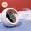 Watch Winder voor Automatische Horloges met Stille Motor